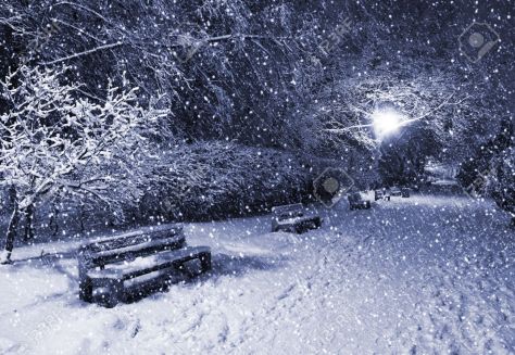 8143615-view-of-alley-and-benches-through-snowing-blue-tone-night-shot-stock-photo